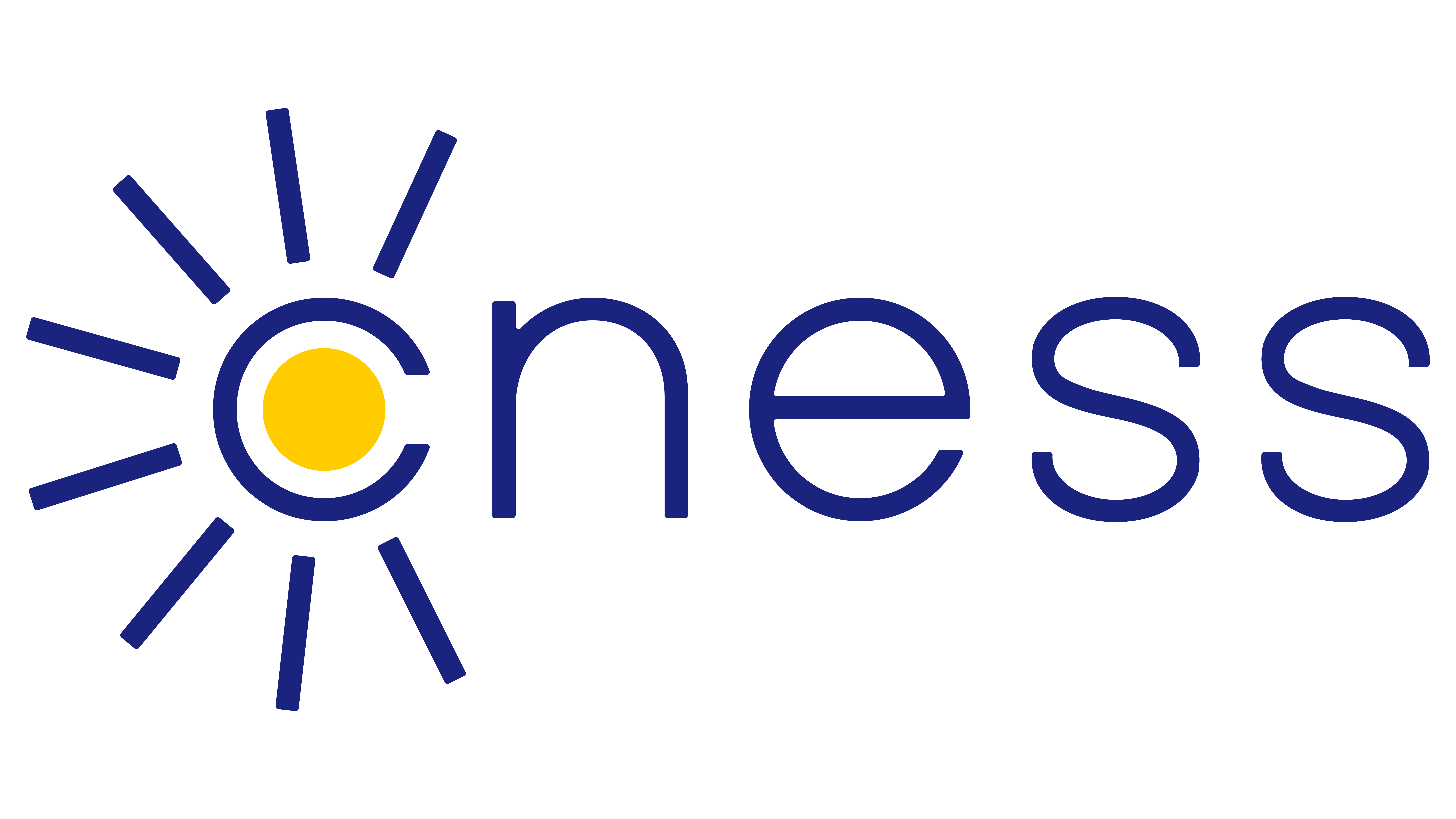 Cness logo